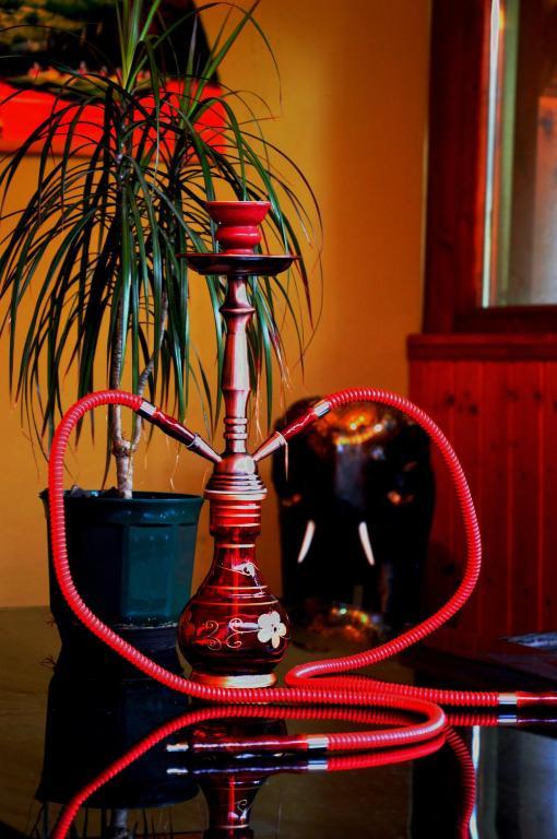 Bed and Breakfast Flamingo Vendeghaz Eger Exteriér fotografie